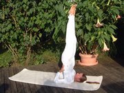 Yoga Kurse